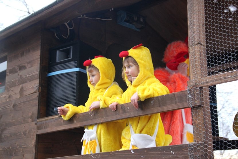 Sarmenstorf Fasnachtsumzug 16.02.2014 (226)